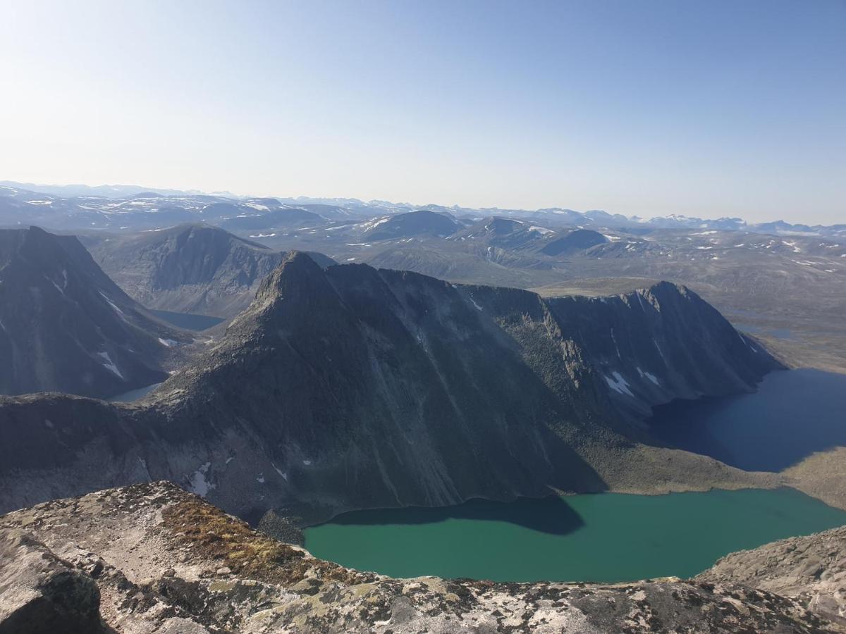 Snohetta