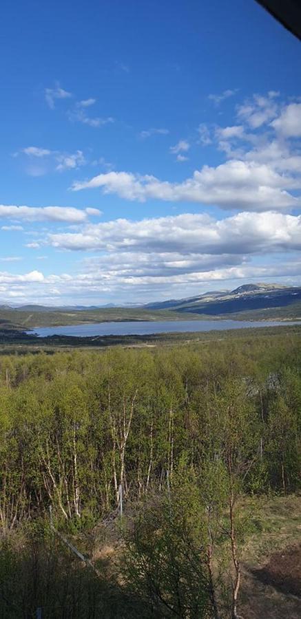 Snohetta Hjerkinn